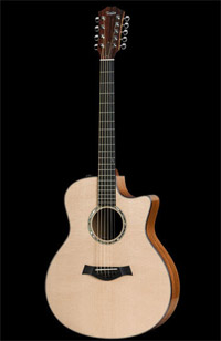 Taylor 9-String